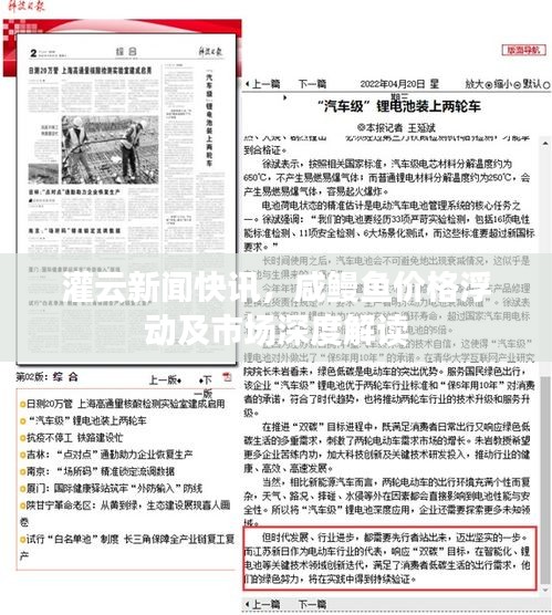 灌云新闻快讯，咸鳗鱼价格浮动及市场深度解读
