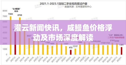 灌云新闻快讯,咸鳗鱼价格浮动及市场深度解读