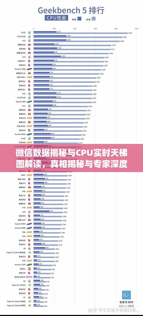 微信数据揭秘与CPU实时天梯图解读,真相揭秘与专家深度剖析