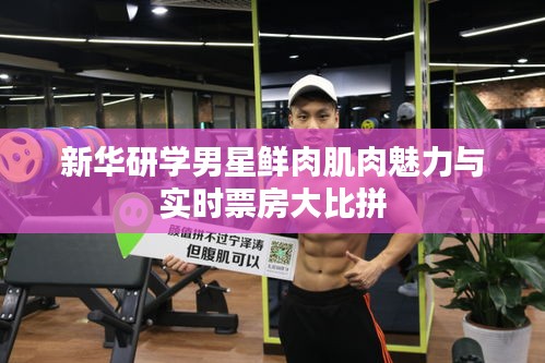 新华研学男星鲜肉肌肉魅力与实时票房大比拼