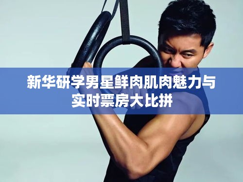 新华研学男星鲜肉肌肉魅力与实时票房大比拼