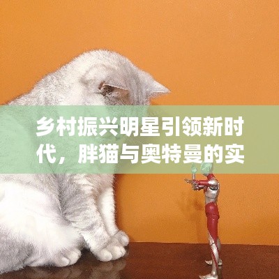 乡村振兴明星引领新时代，胖猫与奥特曼的实时对战解读