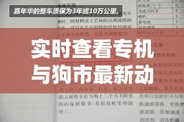 实时查看专机与狗市最新动态，深度解析及指导手册