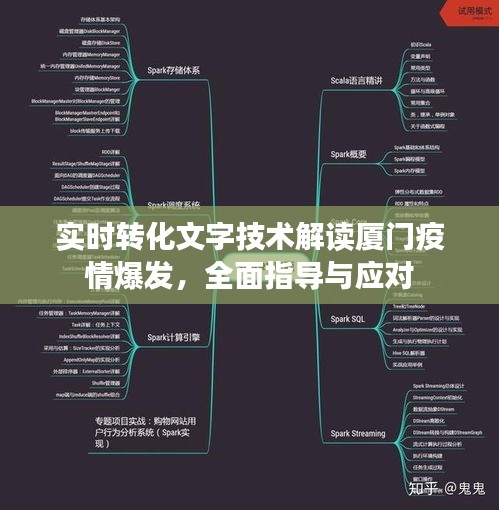实时转化文字技术解读厦门疫情爆发,全面指导与应对