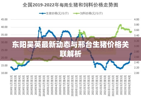 东阳吴英最新动态与邢台生猪价格关联解析