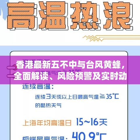 香港最新五不中与台风黄蜂，全面解读、风险预警及实时动态分析