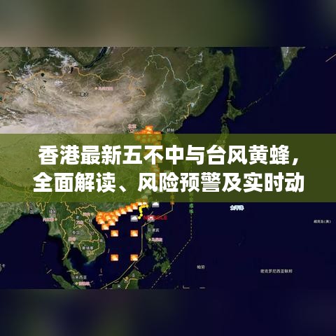 香港最新五不中与台风黄蜂,全面解读、风险预警及实时动态分析