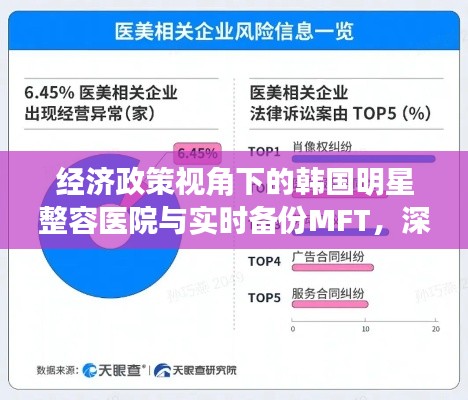 经济政策视角下的韩国明星整容医院与实时备份MFT，深度解析与风险警示