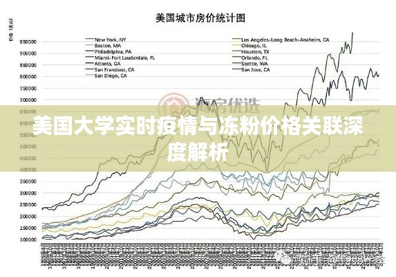 美国大学实时疫情与冻粉价格关联深度解析