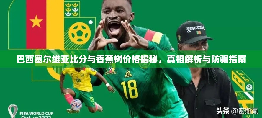 巴西塞尔维亚比分与香蕉树价格揭秘，真相解析与防骗指南