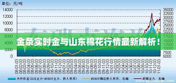 金条实时金与山东棉花行情最新解析！