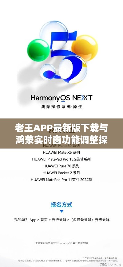 老王APP最新版下载与鸿蒙实时窗功能调整探讨
