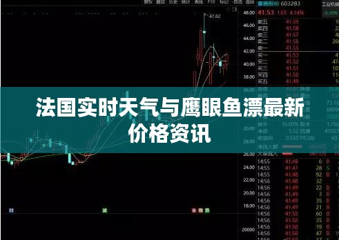 法国实时天气与鹰眼鱼漂最新价格资讯