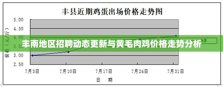 丰南地区招聘动态更新与黄毛肉鸡价格走势分析