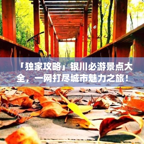 「独家攻略」银川必游景点大全,一网打尽城市魅力之旅!