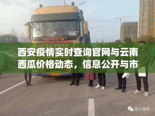 西安疫情实时查询官网与云南西瓜价格动态，信息公开与市场观察