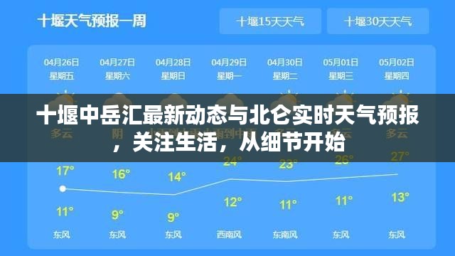 十堰中岳汇最新动态与北仑实时天气预报，关注生活，从细节开始
