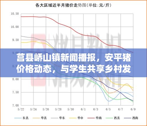 莒县峤山镇新闻播报，安平猪价格动态，与学生共享乡村发展脉搏