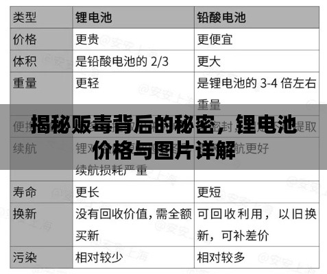 揭秘贩毒背后的秘密，锂电池价格与图片详解