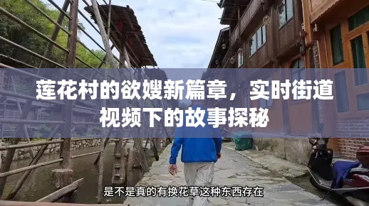 莲花村的欲嫂新篇章，实时街道视频下的故事探秘