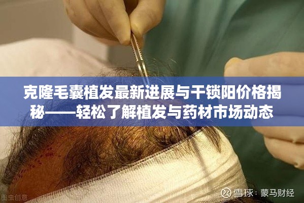 克隆毛囊植发最新进展与干锁阳价格揭秘——轻松了解植发与药材市场动态