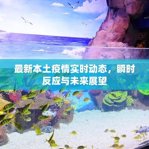 最新本土疫情实时动态，瞬时反应与未来展望
