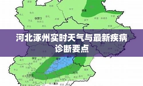 河北涿州实时天气与最新疾病诊断要点