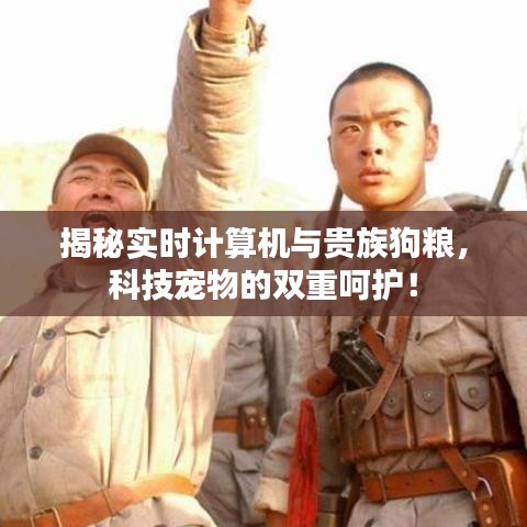 揭秘实时计算机与贵族狗粮，科技宠物的双重呵护！