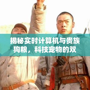 揭秘实时计算机与贵族狗粮,科技宠物的双重呵护!