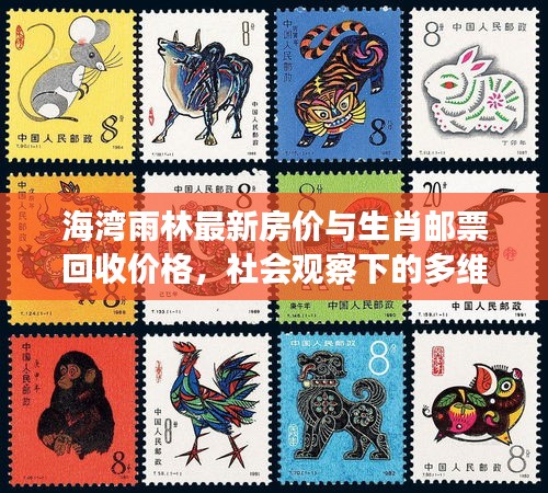 海湾雨林最新房价与生肖邮票回收价格，社会观察下的多维透视