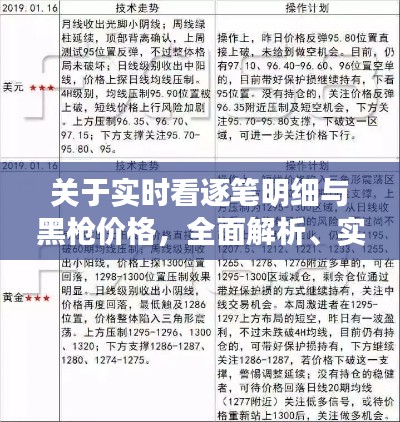 关于实时看逐笔明细与黑枪价格，全面解析、实践指导与警示提醒