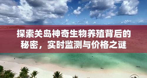 探索关岛神奇生物养殖背后的秘密，实时监测与价格之谜