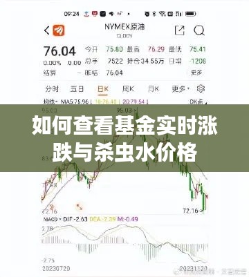 如何查看基金实时涨跌与杀虫水价格