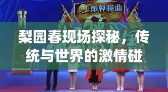 梨园春现场探秘，传统与世界的激情碰撞