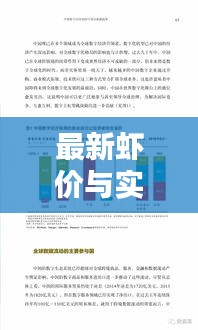 最新虾价与实时获取速度的正反观点论述与平衡分析