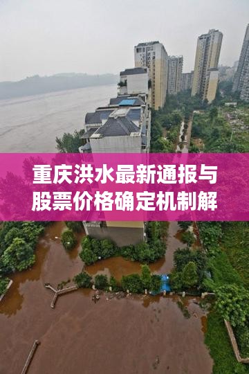 重庆洪水最新通报与股票价格确定机制解析