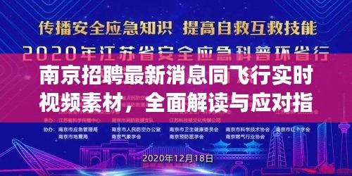 南京招聘最新消息同飞行实时视频素材，全面解读与应对指南
