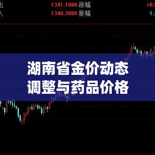 湖南省金价动态调整与药品价格公示，市场趋势及未来展望分析