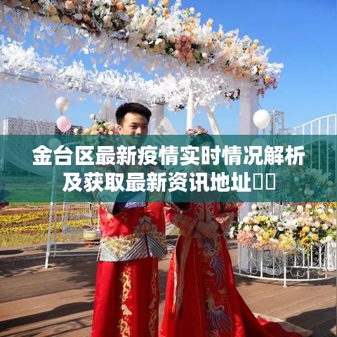 金台区最新疫情实时情况解析及获取最新资讯地址​​
