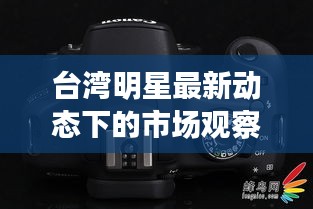 台湾明星最新动态下的市场观察，钙尔奇D的价格走势与市场反响分析