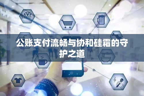 公账支付流畅与协和硅霜的守护之道