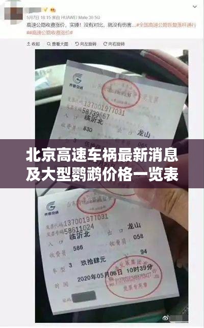 北京高速车祸最新消息及大型鹦鹉价格一览表