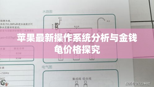 苹果最新操作系统分析与金钱龟价格探究