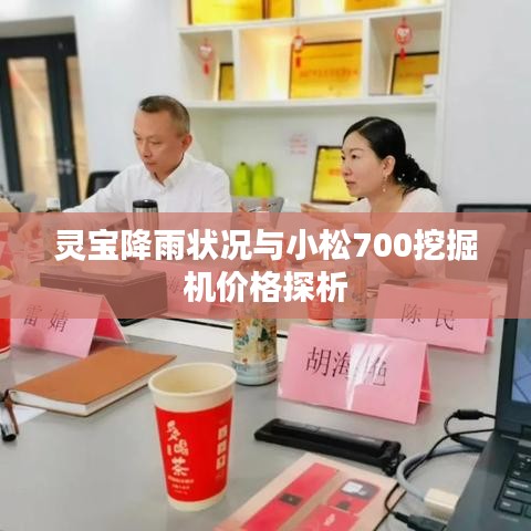 灵宝降雨状况与小松700挖掘机价格探析