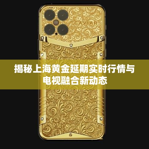 揭秘上海黄金延期实时行情与电视融合新动态