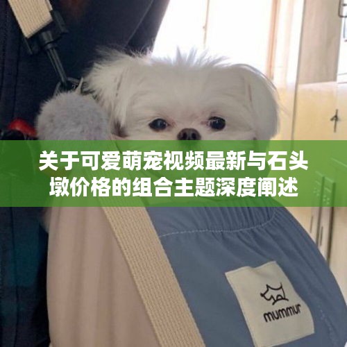 关于可爱萌宠视频最新与石头墩价格的组合主题深度阐述