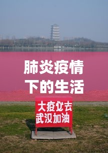 肺炎疫情下的生活观察，银龙鱼市场动态与价格解析
