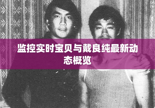 监控实时宝贝与戴良纯最新动态概览