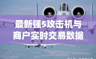 最新强5攻击机与商户实时交易数据的深度解析