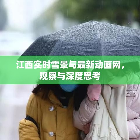 江西实时雪景与最新动画网，观察与深度思考